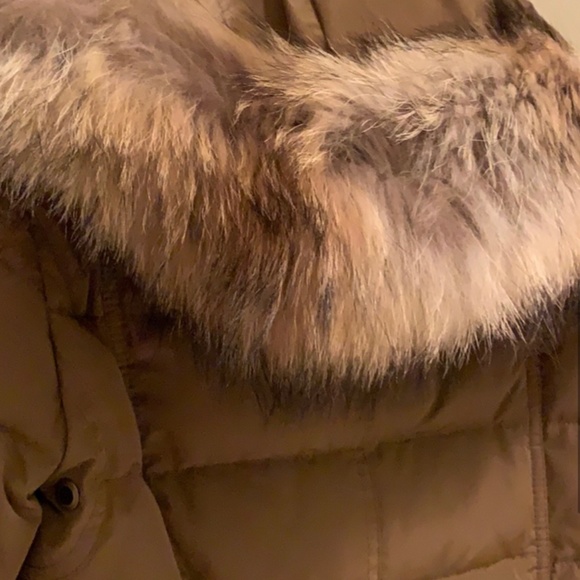 COPY - Burberry coat (small size) - Picture 4 of 12